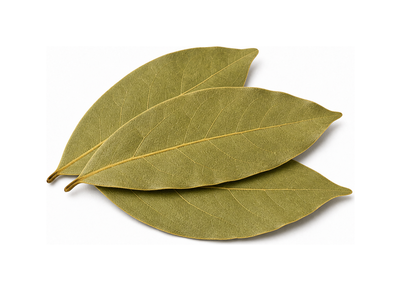 bay leaf