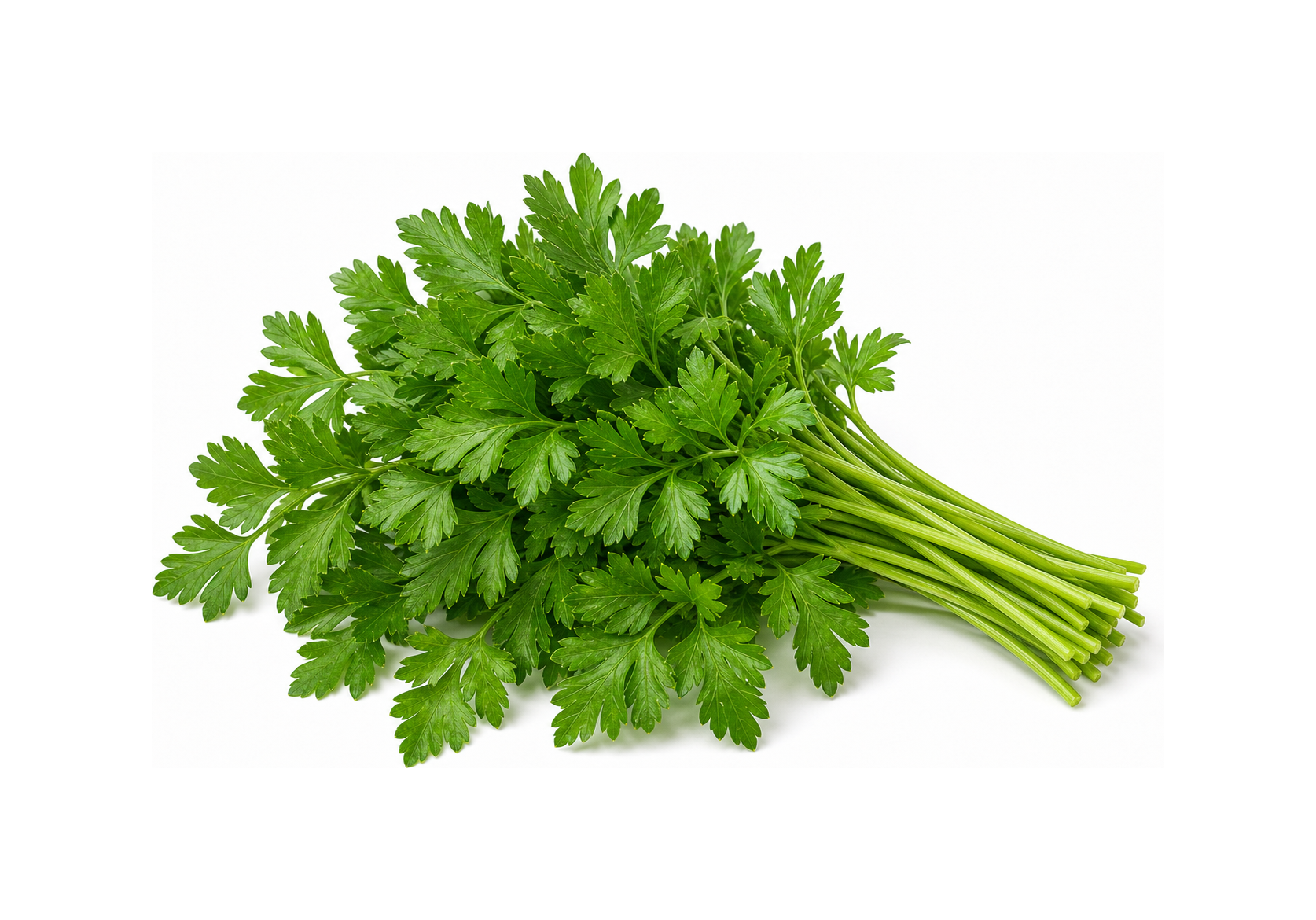 parsley