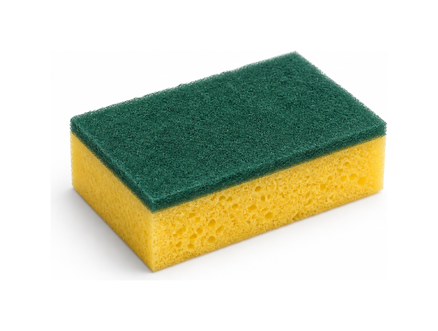 sponge